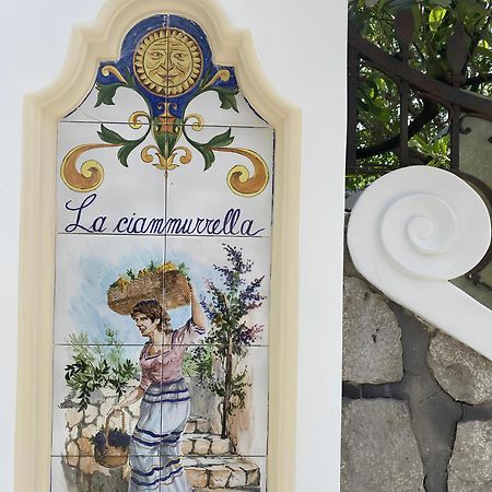 אנה קאפרי B&B La Ciammurrella מראה חיצוני תמונה